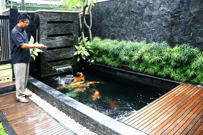 Bảo hành bảo dưỡng định kỳ hồ cá Koi của koiservice