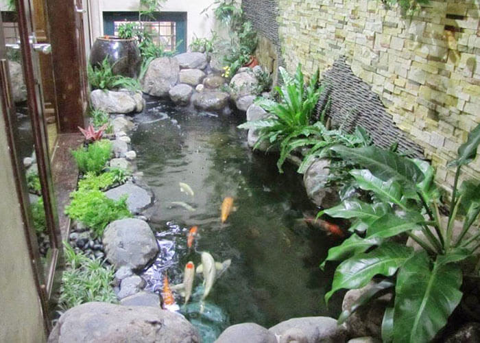 thiết kế hồ cá koi và thi công hồ cá koi chuyên nghiệp