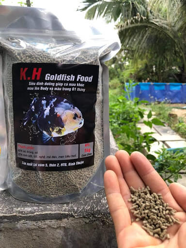 đồ ăn của cá koi tại đà nẵng